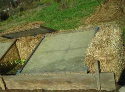 Cold Frames, Fresh Greens and Homegrown Roots Image